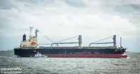 ப bulk கேரியர் விற்பனைக்கு