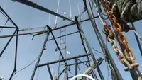 டிராலர் விற்பனைக்கு