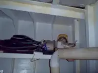 இழுக்கும் படகு விற்பனைக்கு
