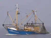 Trawler விற்பனைக்கு
