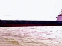 ப bulk கேரியர் விற்பனைக்கு