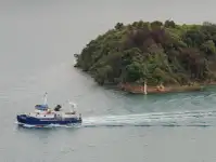கேட்டமரன் விற்பனைக்கு