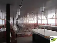 குரூஸ் கப்பல் விற்பனைக்கு