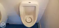 கேட்டமரன் விற்பனைக்கு