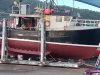 லாங்லைனர் விற்பனைக்கு