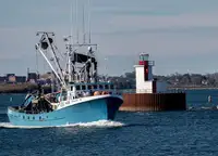 Purse seiner விற்பனைக்கு