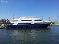 டைவ் ஆதரவு விற்பனைக்கு