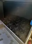 குரூஸ் கப்பல் விற்பனைக்கு