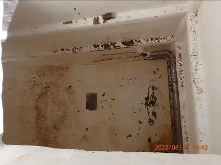 பர்ஸ் சீனர் விற்பனைக்கு
