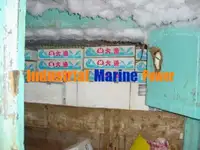 லாங்லைனர் விற்பனைக்கு