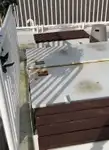 குரூஸ்ஃபெர்ரி விற்பனைக்கு