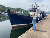 பைலட் படகு விற்பனைக்கு