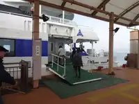 கேட்டமரன் விற்பனைக்கு