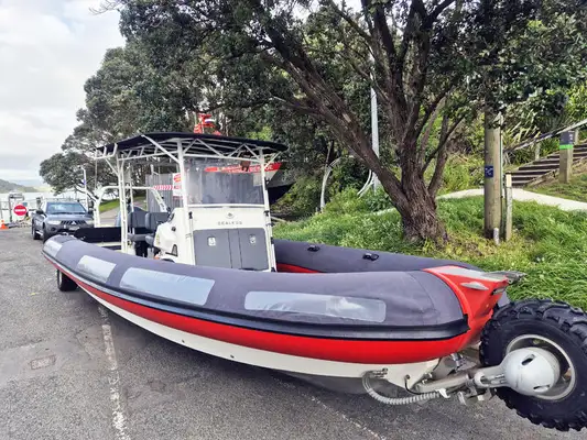 Amphibious for sale