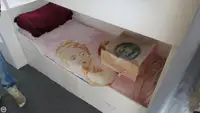 டிராலர் விற்பனைக்கு