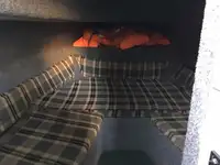 பைலட் படகு விற்பனைக்கு