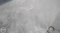 கண்டெய்னர் கப்பல் விற்பனைக்கு