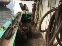 ஸ்க்விட் ஜிகர் விற்பனைக்கு