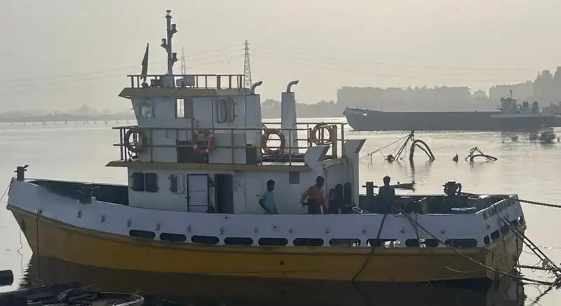 இழுக்கும் படகு விற்பனைக்கு