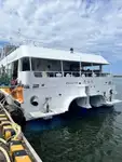 கேட்டமரன் விற்பனைக்கு