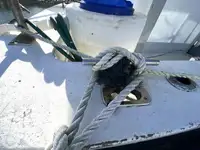டிராலர் விற்பனைக்கு