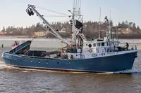 Purse seiner விற்பனைக்கு