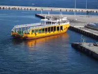 குரூஸ்ஃபெர்ரி விற்பனைக்கு