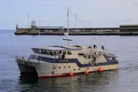 ஆய்வு கப்பல் விற்பனைக்கு