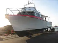 குழு படகு விற்பனைக்கு