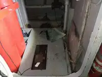 குரூஸ் கப்பல் விற்பனைக்கு