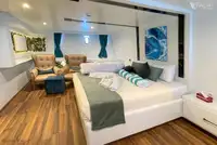 டைவ் ஆதரவு விற்பனைக்கு