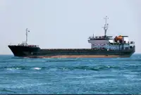 மொத்த கேரியர் விற்பனைக்கு
