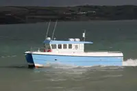 கேடமரன் விற்பனைக்கு