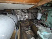 குரூஸ்ஃபெர்ரி விற்பனைக்கு
