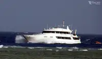 டைவ் ஆதரவு விற்பனைக்கு