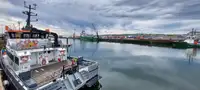 கேட்டமரன் விற்பனைக்கு