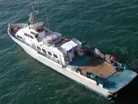 குழு படகு விற்பனைக்கு