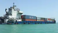 மொத்த கேரியர் விற்பனைக்கு