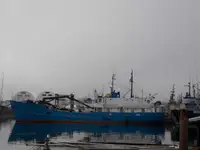 ப bulk கேரியர் விற்பனைக்கு