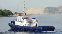 இழுவை படகு விற்பனைக்கு
