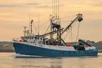 Purse seiner விற்பனைக்கு