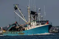 Purse seiner விற்பனைக்கு