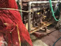 டிராலர் விற்பனைக்கு