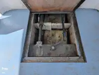 குரூஸ்ஃபெர்ரி விற்பனைக்கு