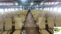 ரோ-ரோ கப்பல் விற்பனைக்கு