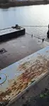 டிரெட்ஜர் விற்பனைக்கு