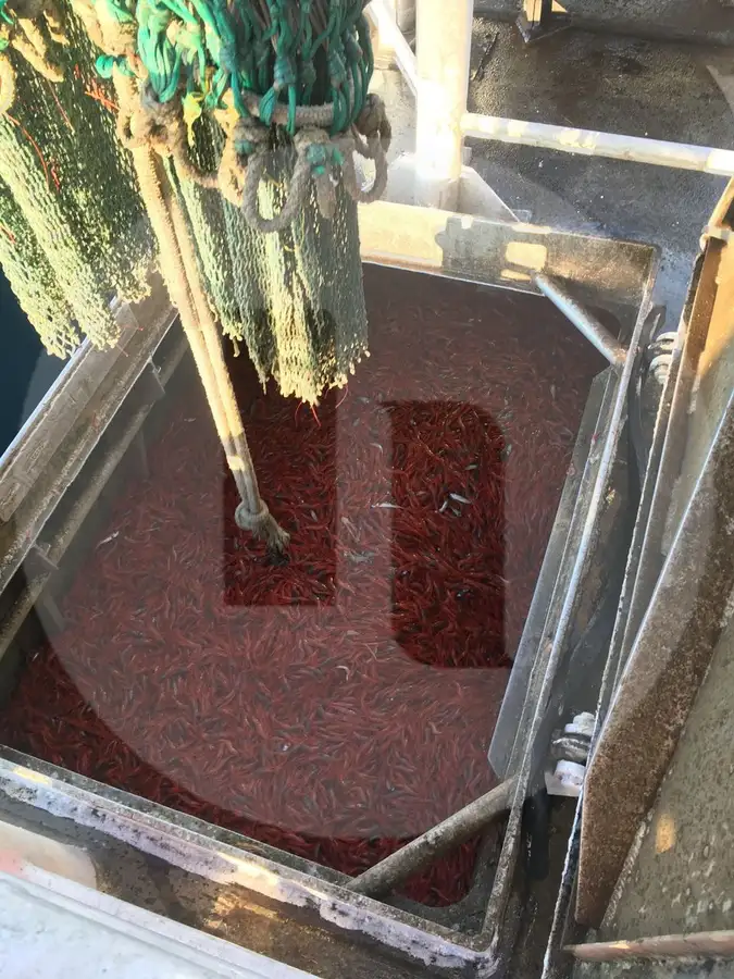 பீம் டிராலர் விற்பனைக்கு