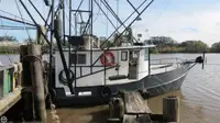 Trawler விற்பனைக்கு