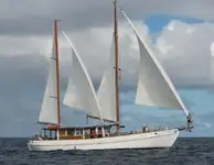 தோண்டுபவர் விற்பனைக்கு