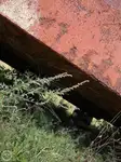 பarge விற்பனைக்கு